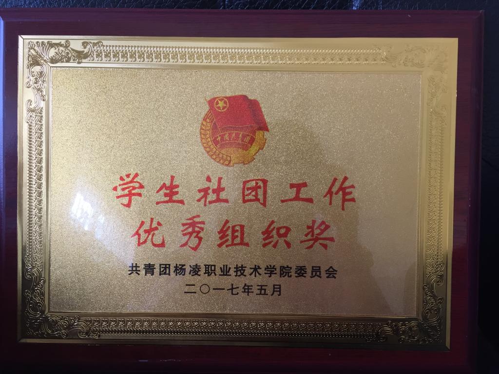 点击查看原图大小
